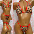 Leopard Print Bikini